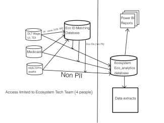 Data Anatomyzation Process