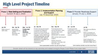 High level project timeline